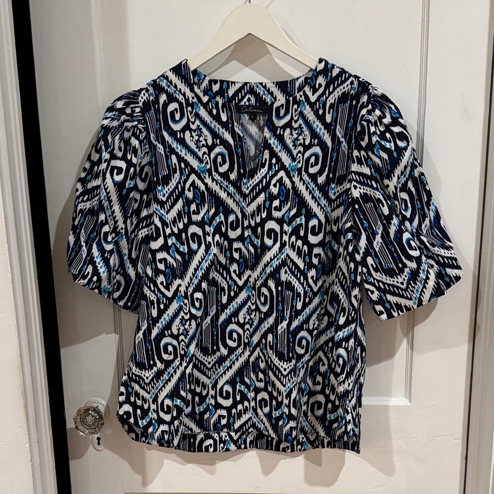 New - Dillard’s blouse (unsure of brand)